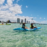 Gold Coast: Morning Kayak & Snorkel Tour with Fish Feeding Gold Coast: Morning Kayak & Snorkel Tour with Fish Feeding