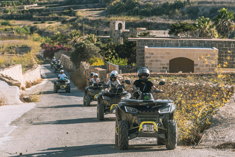 Da Malta: Tour della Laguna Blu e di Gozo con quadrupedi e cenaQuadrilatero condiviso