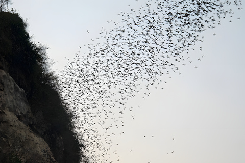 From Siem Reap: Banteay Chhmar Temple & Battambang Tour