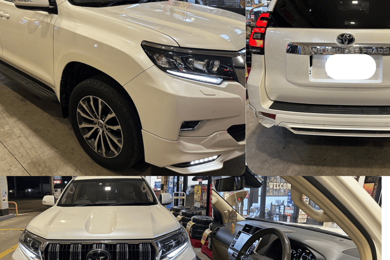 Hiroshima e Miyajima: viagem privada de 1 dia com almoço