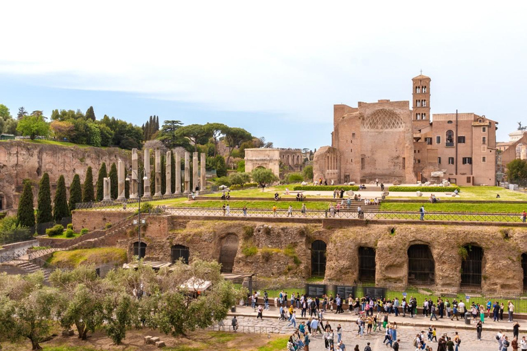 Private Rome Shore Excursion: Colosseum & Trastevere Lunch