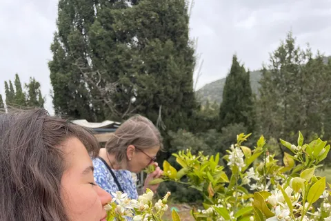 Near Cagliari: Wild Herbs and Healing at "In Our Garden"