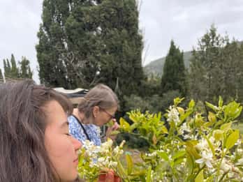 Vicino a Cagliari: Erbe selvatiche e guarigione a "Nel nostro giardino".