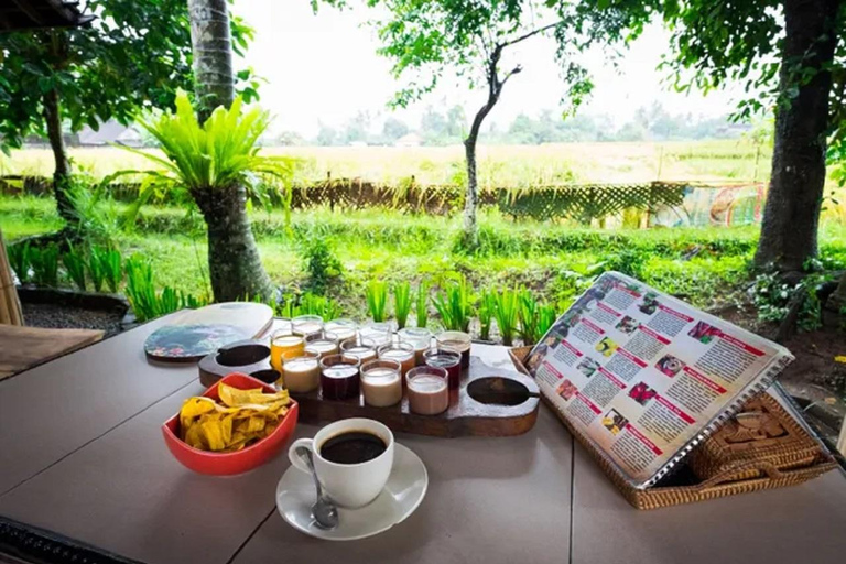 Bali: Taman Ayun, Jatiluwih, Ulun Danu i Las Małp