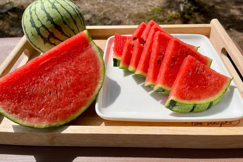 Seasonal Fruit Picking & Dream Cattle Farm Day Tour Hongik Univ. station, exit 9