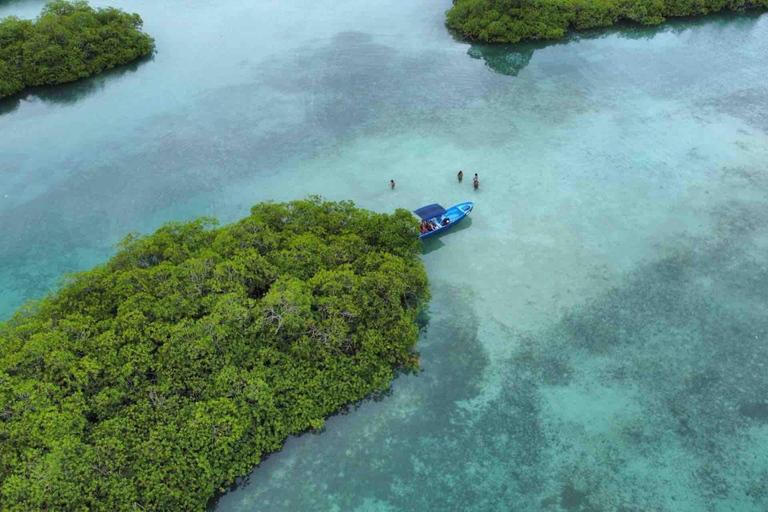 Panama City: Portobelo Jungle, Reef & Venas Azules Tour