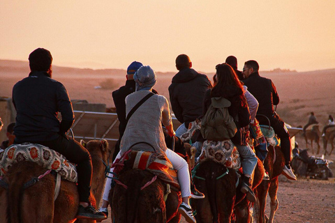 Marrakech: Agafay Camel Ride, Pool & Lunch or Dinner Show Evening Sunset Camel Ride & Pool & Dinner Show