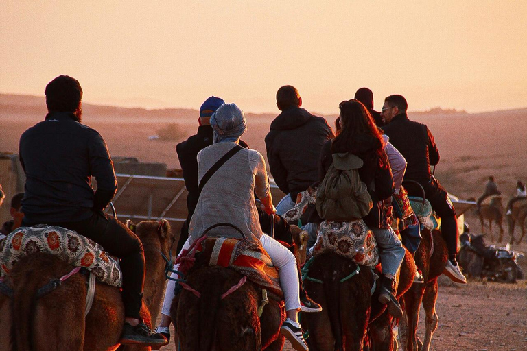 Marrakech: Agafay Camel Ride, Pool & Lunch or Dinner Show Evening Sunset Camel Ride & Pool & Dinner Show