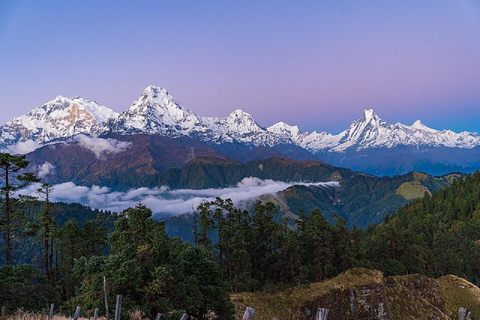 Pokhara: Mohare Danda & Poon Hill Sunrise Trek with Guide