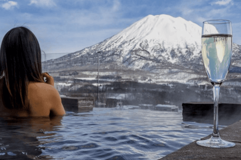 Tokyo: Mount Fuji Must See Private Tour Adjustable Itinerary