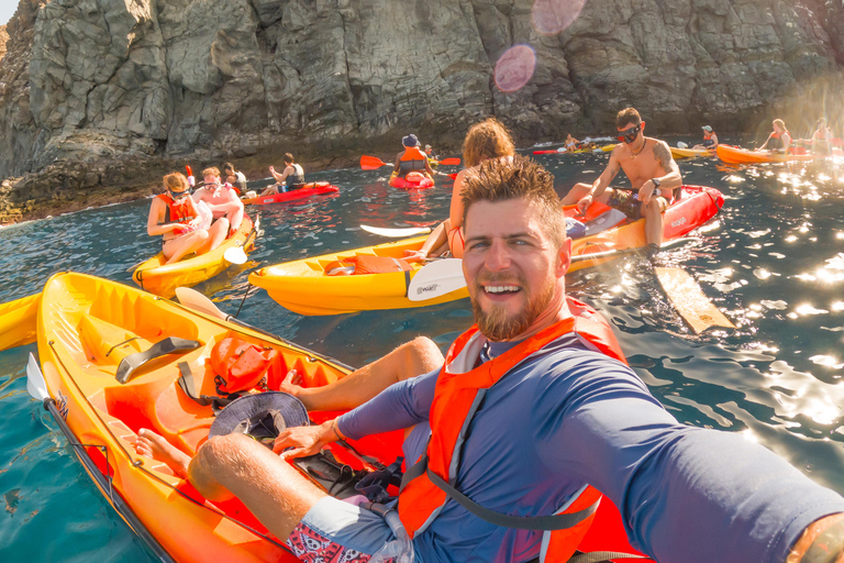 Tenerife: Kayak & Snorkeling Tour - Small Groups