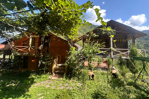 Vanuit Batumi: wijnproeverij met eigen vervoer in het bergachtige AdjaraVanuit Batumi: zelf rijden en wijn proeven in het bergachtige Adjara