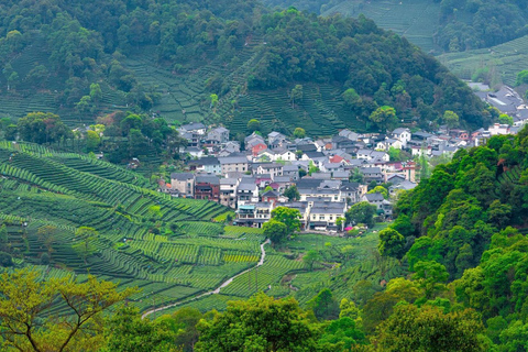 Shanghai: West Lake Hills & Tea Gardens Private Day Trip
