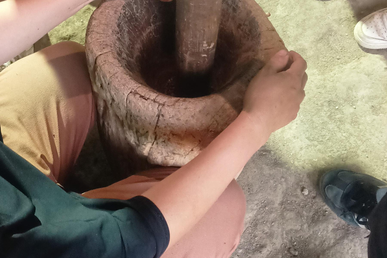 特特巴图：瀑布、香料、梯田、猴子森林特特巴图之旅、香料、瀑布、梯田、猴林