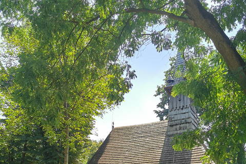 Bucharest City tour, panoramic tour, photo stops and visits