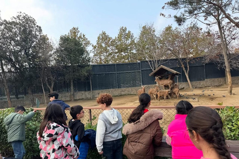 Baku: Baku Zoo Guided Tour with Hotel Pickup