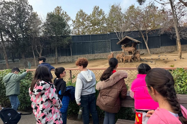 Baku: Baku Zoo Guided Tour with Hotel Pickup