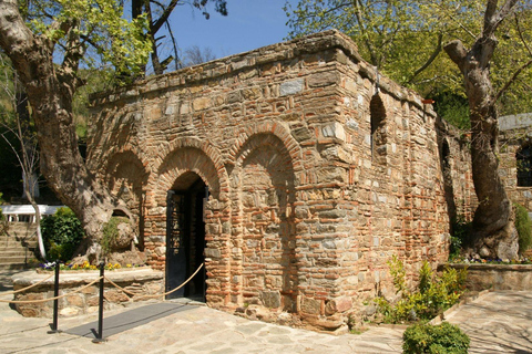 Smirne: tour per gruppi piccoli a Efeso con pranzoSmirne: tour per gruppi piccoli di Efeso con pranzo