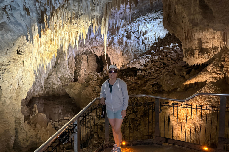 Private Day Tour: Waitomo Glowworms & Hobbiton Movie Set