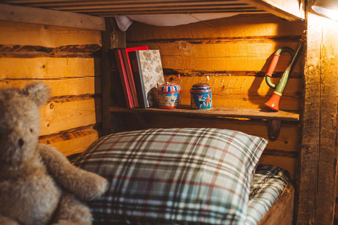 Rovaniemi: Reindeer Ride to Santa through the Magic Forest