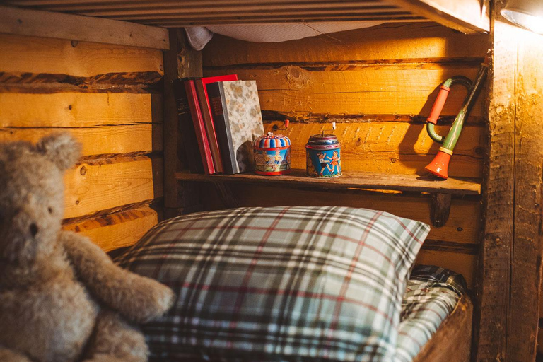 Rovaniemi: Reindeer Ride to Santa through the Magic Forest