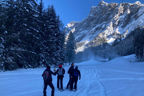 Ehrwald : Randonnée en raquettes à Zugspitze avec vue sur les montagnes