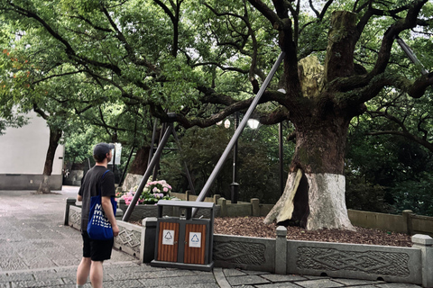 Hangzhou Food Tour & Walk Through City History