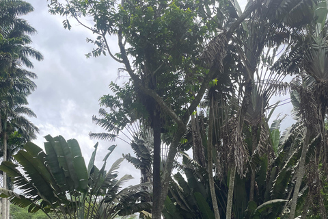 Gana: excursão de 8 dias em dezembro com Afrofuture/vida noturna