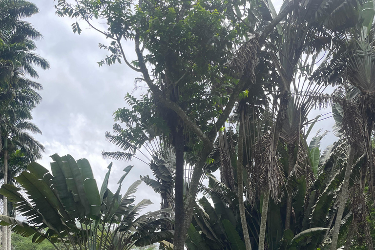 Gana: excursão de 8 dias em dezembro com Afrofuture/vida noturna