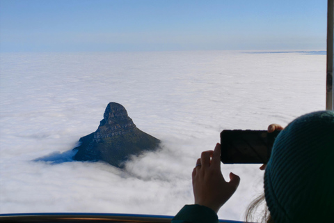 Cape Town: Table Mountain, Robben Island, & Dinner Tour