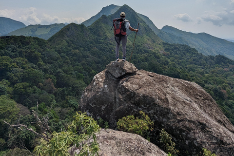 Da Kandy: escursione alle cime gemelle di Kanawiddagala e YahangalaDa Kandy: escursione alle due cime gemelle di Kanawiddagala e Yahangala