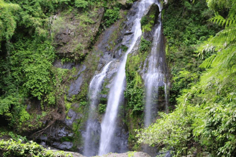 Khao Lak: Sri Phang Nga National Park und Takuapa Tour