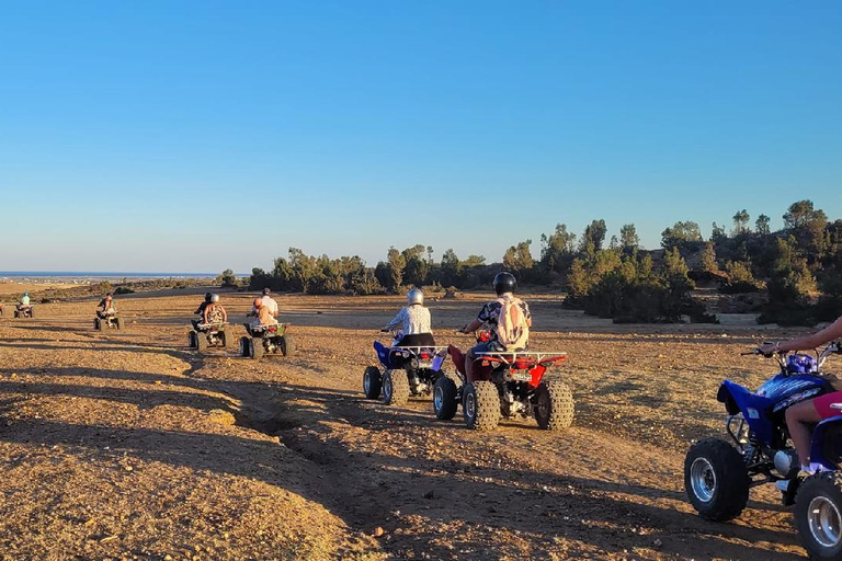 Hammamet: Camel Ride, Lunch, and Quad Biking Tour