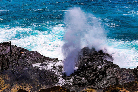 Oahu: Grand Circle Island Tour with Haleiwa