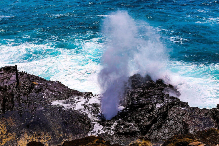 Oahu: Grand Circle Island Tour with Haleiwa