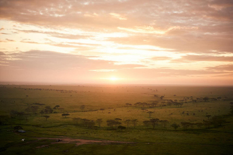 Seronera and Ndutu Migration Safari Experiences