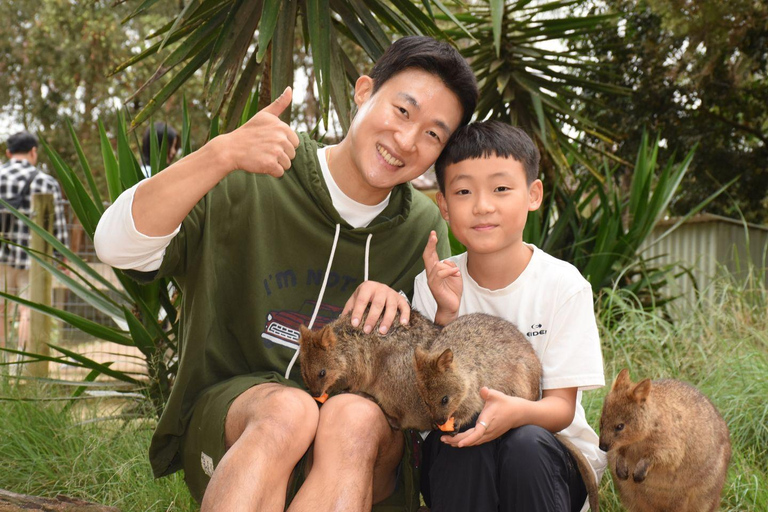 Sydney: Featherdale Wildlife Park Private Tour