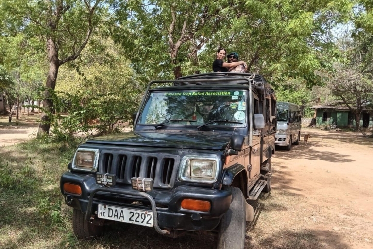 Colombo: Sigiriya Rock / Dambulla & Minneriya Park Safari
