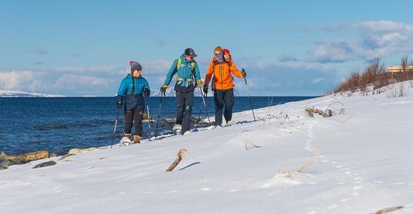 From Tromsø: Lyngen Alps Snowshoe Hike and Arctic Sea Float