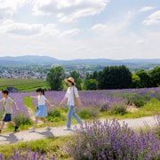 Sapporo: 3-Day Private Otaru, Furano Tour Sapporo: 3-Day Private Otaru, Furano Tour