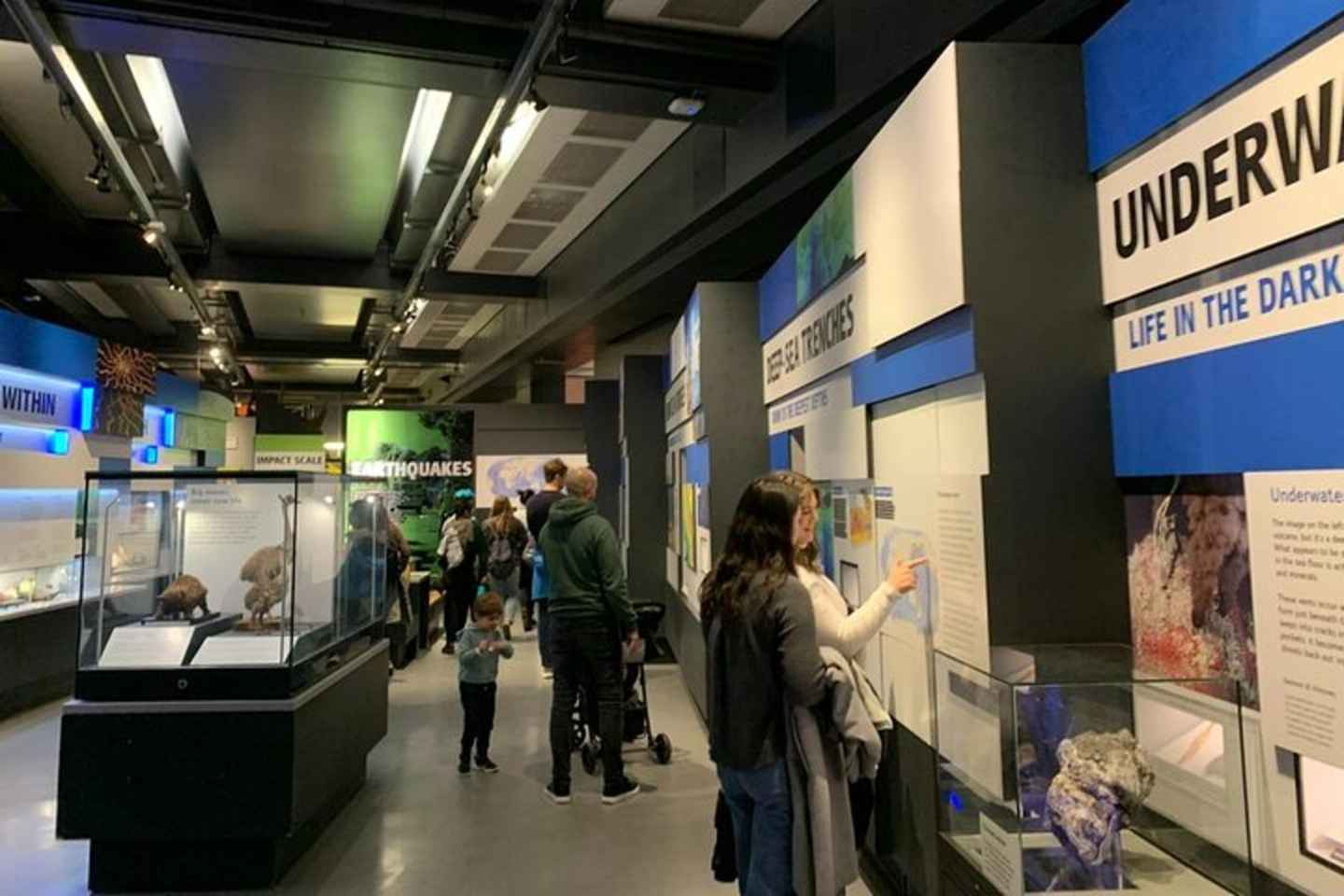 런던: 자연사 박물관 프라이빗 투어 & 줄 서지 않고 빠르게 입장하기