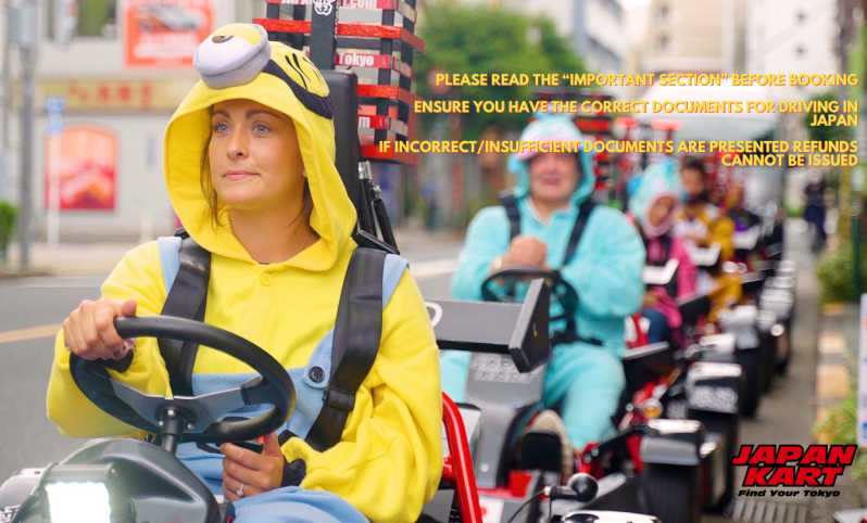 Tokyo: Cursa de 2 ore cu Go Kart în Tokyo de Est