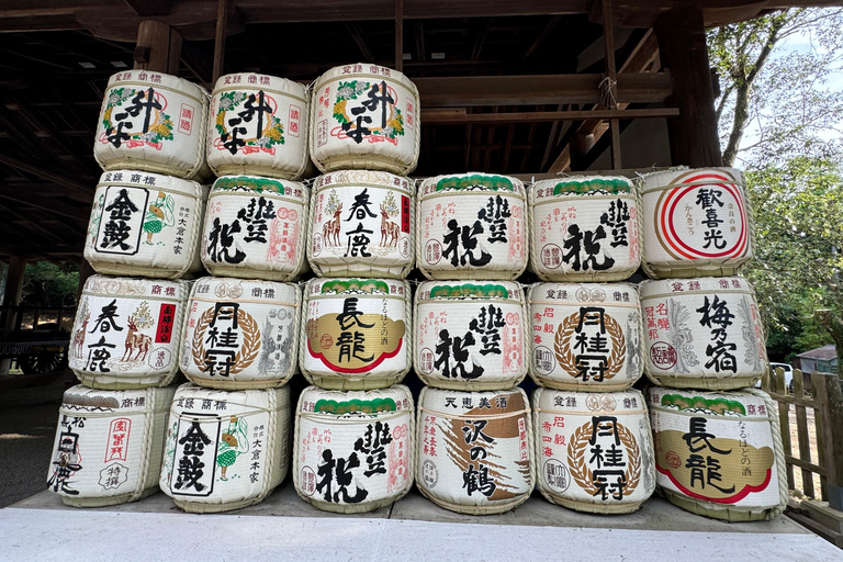 Nara: tour guidato a piedi con il Grande Buddha e i cervi(5h)