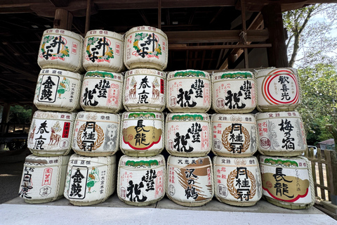 Nara: Erkunde den Kasuga Taisha Schrein in nur 90 Minuten.