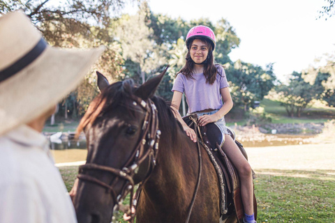 Morning with Horses, Alpacas, Turtles & Breakfast