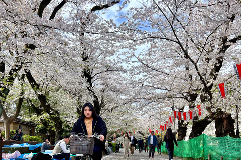 Tokyo: Private Customised Guided City Tour with Photographer