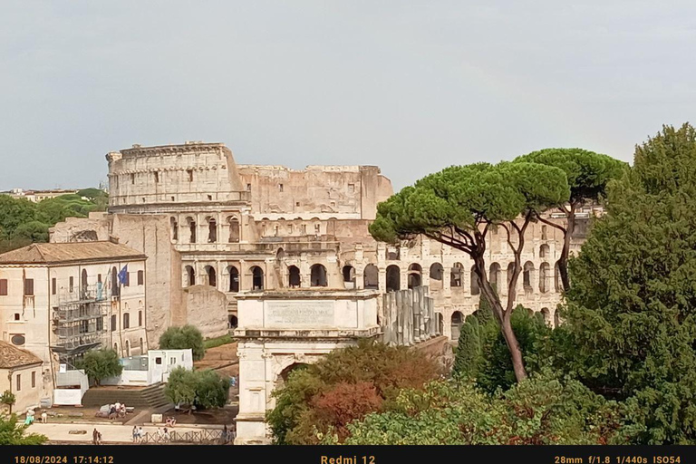 Rome: Colosseum, Underground, Roman Forum, & Palatine Tour Private Underground Tour with the Forum and Palatine hill