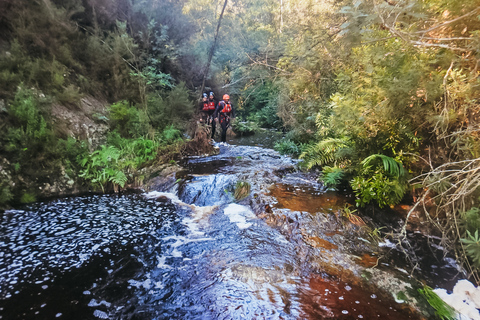 Plettenberg Bay: Canyoning Trip Plettenberg Bay: Standard Canyoning Trip