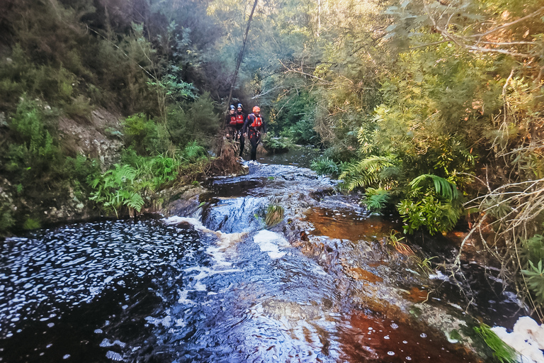 Plettenberg Bay: Canyoning Trip Plettenberg Bay: Standard Canyoning Trip