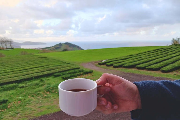 Traditions & Flavors of São Miguel Tour